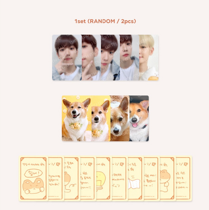 baekhyun-lucky-card-set-jstore-online